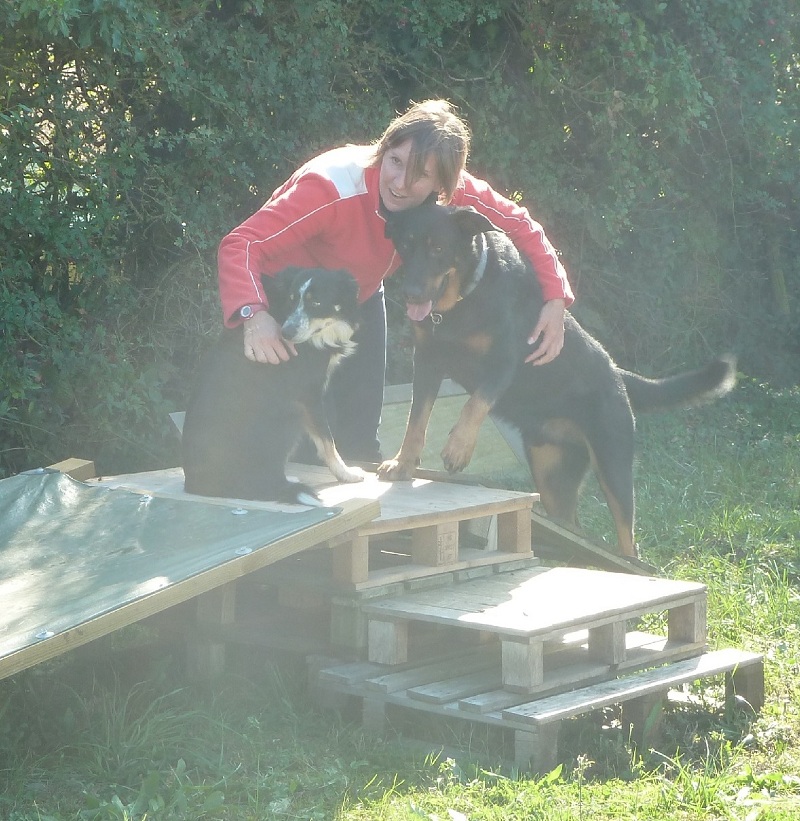 Centre Canin Et Félin La Grange Aux Loups