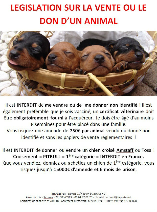 Réglementation animale Réglementation animale